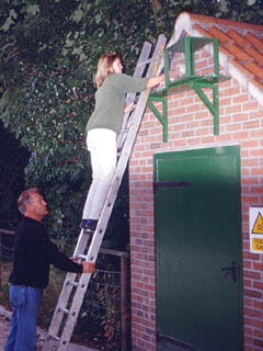 Butterfly House staff introducing owls to their new home