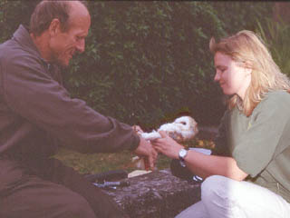 Application of unique numbered BTO ring