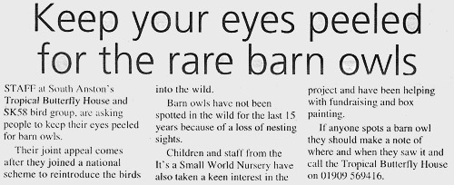 Look out for Barn Owls