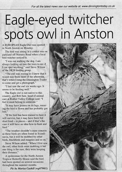 Stardom of local Eagle Owl