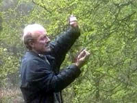 carefully removed from net